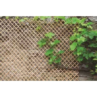 Apácarács Wick spalier natur 0,5x1,5 m