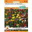Amestec de flori din Mössingen 2 m2 Samen Pfann