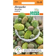   Amestec castraveți ornamentali (Ziergurken) 30 semințe Samen Pfann