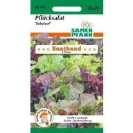   Salată de rupere a benzii de semințe Babyleaf 5 m Semințe Pfann