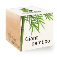 ecocube-Bambus uriaș