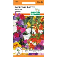 Amestec de semințe Climber anuale 5m2 de Samen Pfann