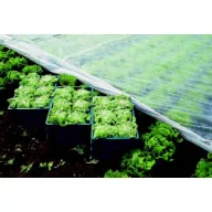 Folie de voal 16x100 m 19 g/m2