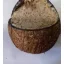 Hrana pentru păsări Vogelpick cu stafide și nucă de cocos 400 g