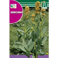 Arnică Rocalba 0,2 g