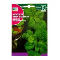 Menta cu frunze rotunde Rocalba 0,5 g