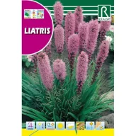 Díszcsorba Rocalba 1 g