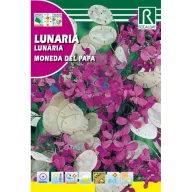 Banii lui Iuda Rocalba 6 g