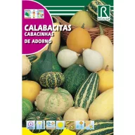 Dovleac decorativ Koronás Rocalba 2 g