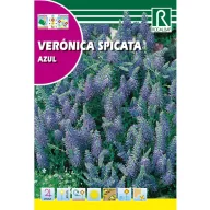Veronică coadă-de-pisică Rocalba 1 g