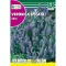 Veronică coadă-de-pisică Rocalba 1 g
