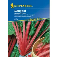 Mangold (rubarba) Kiepenkerl, aprox. 50 buc.