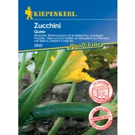 Zucchini Quine Kiepenkerl 6 bucăți
