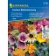 Flori comestibile (amestec de semințe anuale) Kiepenkerl 2 m2