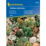 Cactuși - amestec de soiuri populare Kiepenkerl 20 buc.