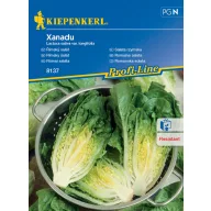 Salată romană Xanadu 80 buc Kiepenkerl