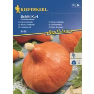 Hokkaido dovleac Uchiki kuri Kiepenkerl 5 buc