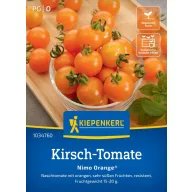 Roșii cherry Nimo Orange Kiepenkerl 5 buc