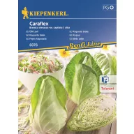 Varză Caraflex F1 Kiepenkerl 20 buc
