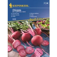 Sfeclă Chioggia Kiepenkerl 80 semințe