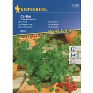 Frunze de coriandru Kiepenkerl, aproximativ 70 semințe