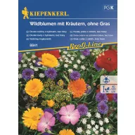   Amestec de semințe de flori sălbatice Kiepenkerl pentru 2-3 m2