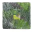 Perete verde cu frunze mixte Vertical Costa 1mx1m