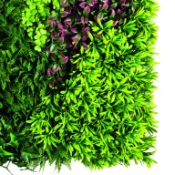 Perete verde cu frunze mixte Vertical Costa 1mx1m