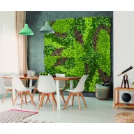 Perete verde cu frunze mixte Vertical Costa 1mx1m