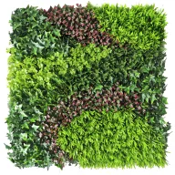 Perete verde cu frunze mixte Vertical Costa 1mx1m