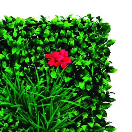 Perete verde cu bougainvillea Vertical Villa 1mx1m