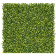 Perete verde cu frunze de buxus Vertical Buxus 1mx1m