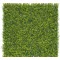 Perete verde cu frunze de buxus Vertical Buxus 1mx1m