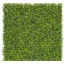 Perete verde cu frunze de buxus Vertical Buxus 1mx1m