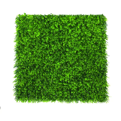 Perete verde cu frunze de buxus Vertical Buxus 1mx1m