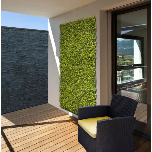 Perete verde cu frunze de buxus Vertical Buxus 1mx1m
