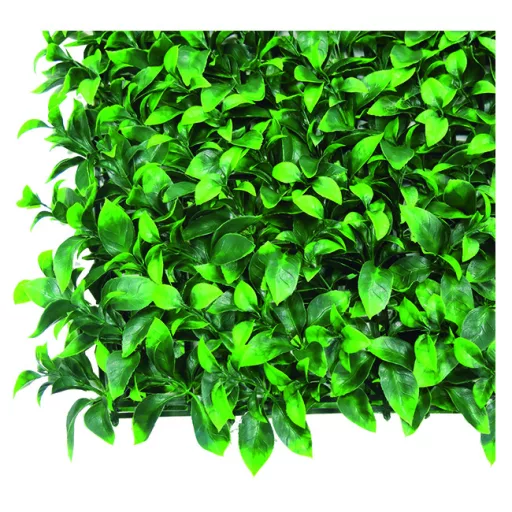 Perete verde cu frunze de dafin Vertical Lauro 1m x 1m