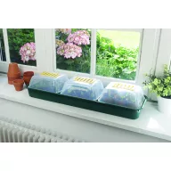   Mini seră pentru fereastră Rapid Grow Window 22x17,5x13 cm 3 buc
