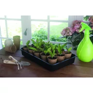 Mini seră pentru răsaduri Rapid Grow 38 x 24 x 19 cm