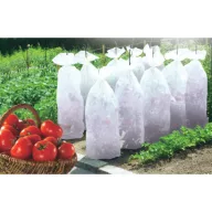   Furtun pentru cultivarea tomatelor Tomatex 17 g/m2 alb 0,6 x 10m