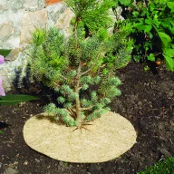   Acoperire pentru sol 100% naturală Chanvrelin 750 natur 40 cm diametru