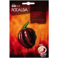 Ardei iute Chocolate Habanero Rocalba 25 boabe