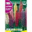 Amestec colorat de lupin de pădure (Lupin de Russell hibrid) 4 g Rocalba