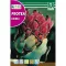 Proteea Eximia (Protea eximia) 6 g Rocalba