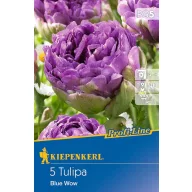 Bulbi de lalea Blue Wow 5 buc Kiepenkerl
