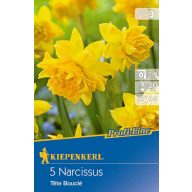 Bulb de floare narcis botanic Tete Boucle 7 buc Kiepenkerl