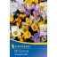 Bulbi de crocus botanic, mix de culori, 20 bucăți, Kiepenkerl