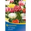 Bulbi de lalea cu flori duble Murillo Mix 10 buc. Kiepenkerl