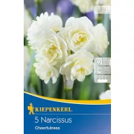 Bulbi de floare Narcis Cheerfulness 5 buc Kiepenkerl