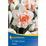 Bulb de floare Narcis Replete 5 buc Kiepenkerl